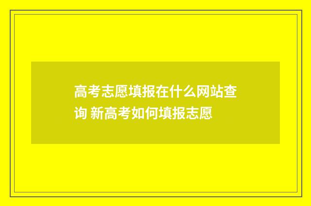 高考志愿填报在什么网站查询 新高考如何填报志愿