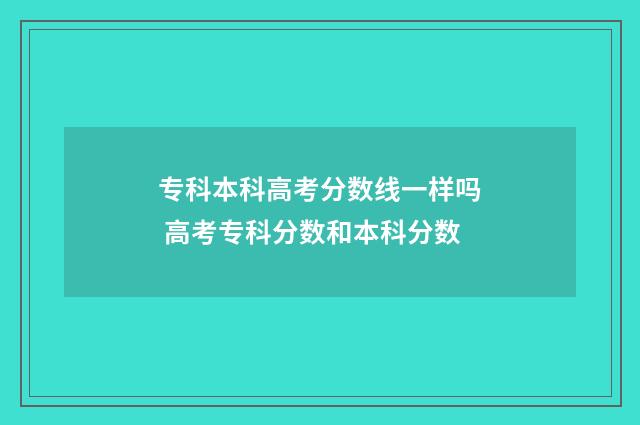 专科本科高考分数线一样吗 高考专科分数和本科分数