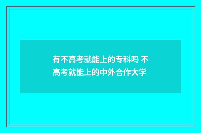 有不高考就能上的专科吗 不高考就能上的中外合作大学