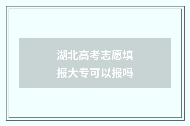 湖北高考志愿填报大专可以报吗