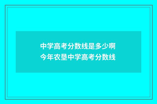 中学高考分数线是多少啊 今年农垦中学高考分数线