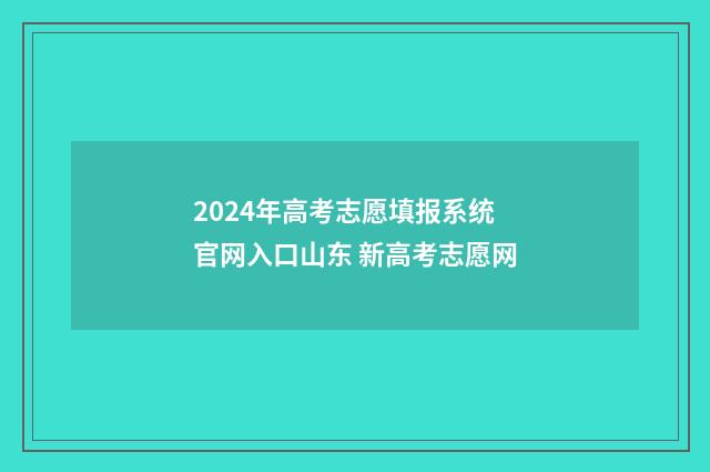 2024年高考志愿填报系统官网入口山东 新高考志愿网