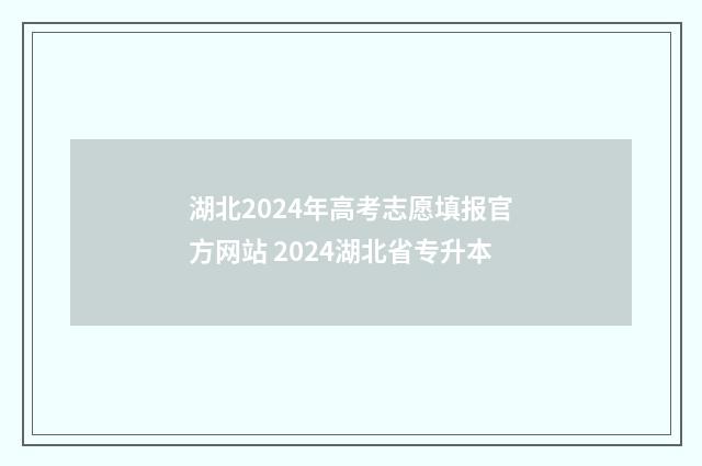 湖北2024年高考志愿填报官方网站 2024湖北省专升本