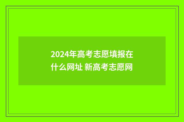 2024年高考志愿填报在什么网址 新高考志愿网
