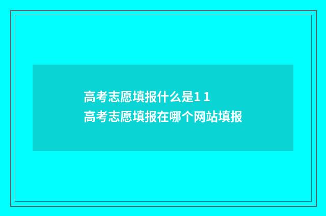 高考志愿填报什么是1 1 高考志愿填报在哪个网站填报