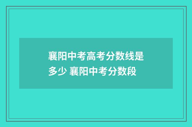 襄阳中考高考分数线是多少 襄阳中考分数段