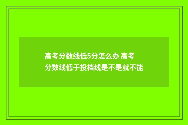 高考分数线低5分怎么办 高考分数线低于投档线是不是就不能