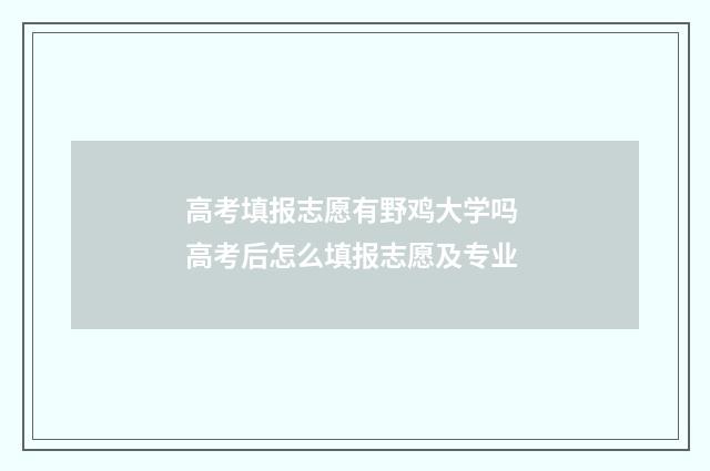 高考填报志愿有野鸡大学吗 高考后怎么填报志愿及专业