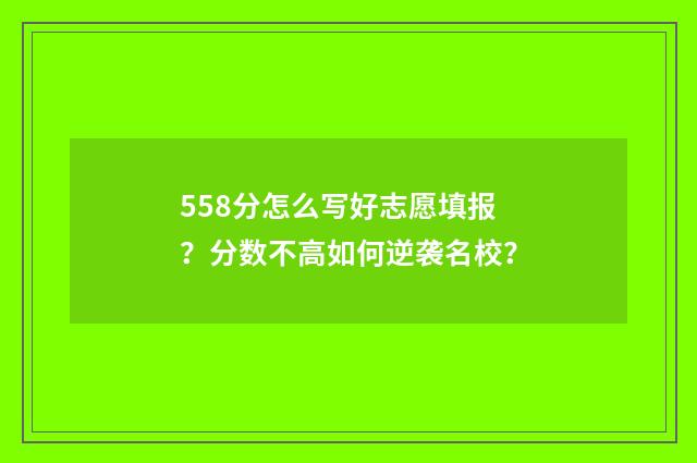 558分怎么写好志愿填报?分数不高如何逆袭名校?