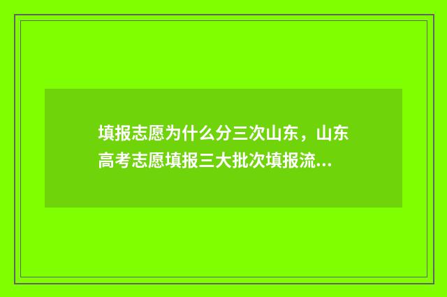 填报志愿为什么分三次山东，山东高考志愿填报三大批次填报流程解析 填报志愿为什么代码输入不进去