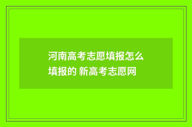 河南高考志愿填报怎么填报的 新高考志愿网