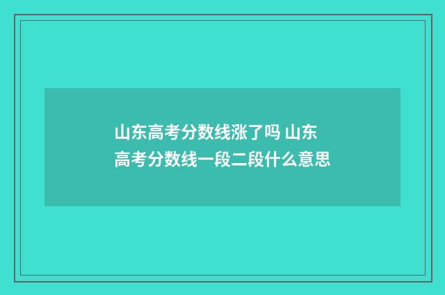 山东高考分数线涨了吗 山东高考分数线一段二段什么意思
