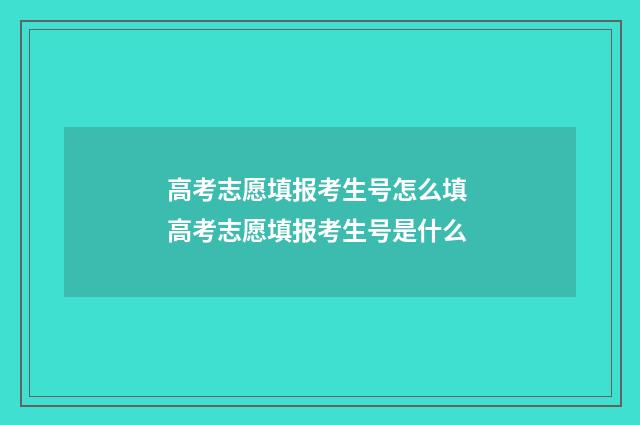 高考志愿填报考生号怎么填 高考志愿填报考生号是什么