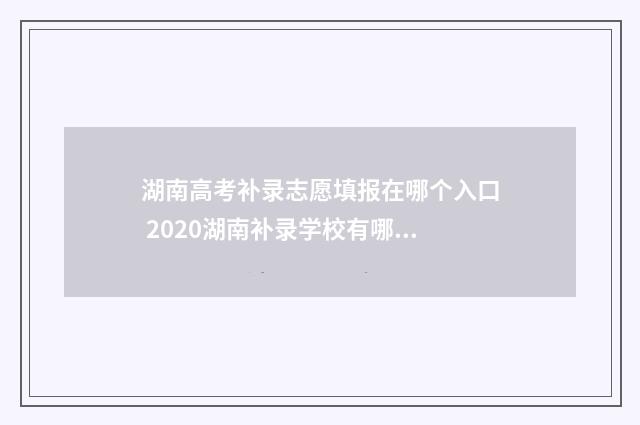 湖南高考补录志愿填报在哪个入口 2020湖南补录学校有哪些