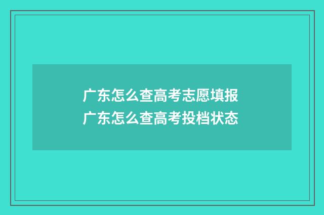 广东怎么查高考志愿填报 广东怎么查高考投档状态