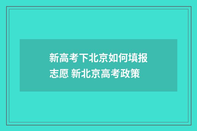 新高考下北京如何填报志愿 新北京高考政策
