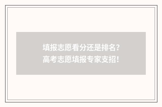 填报志愿看分还是排名？高考志愿填报专家支招！