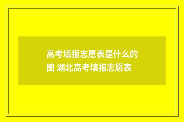 高考填报志愿表是什么的图 湖北高考填报志愿表