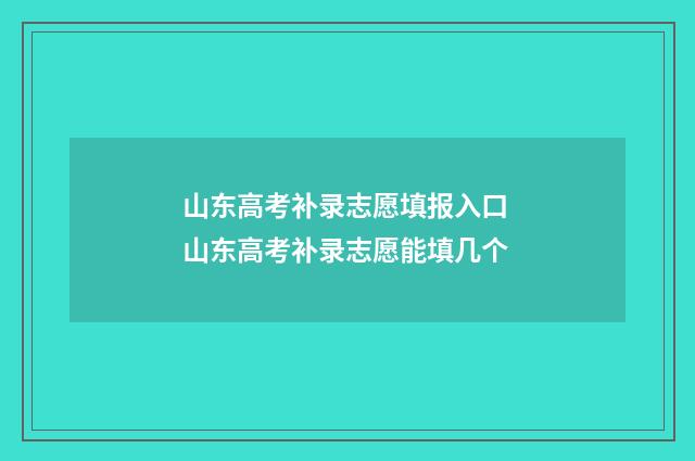 山东高考补录志愿填报入口 山东高考补录志愿能填几个