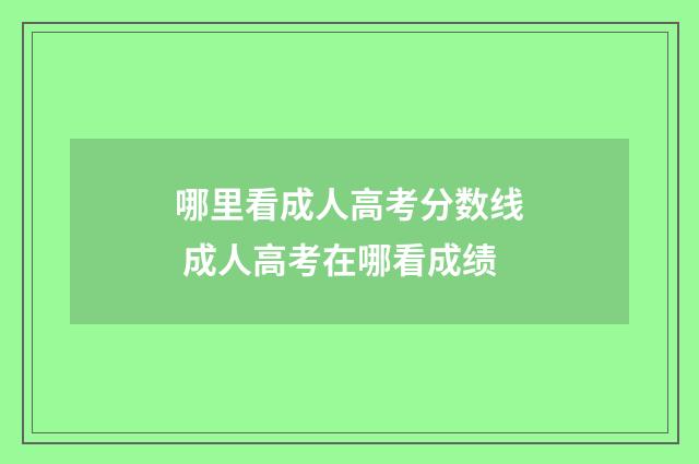 哪里看成人高考分数线 成人高考在哪看成绩