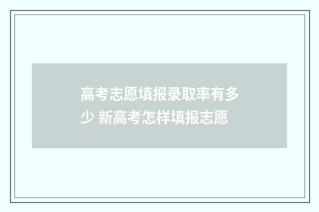 高考志愿填报录取率有多少 新高考怎样填报志愿
