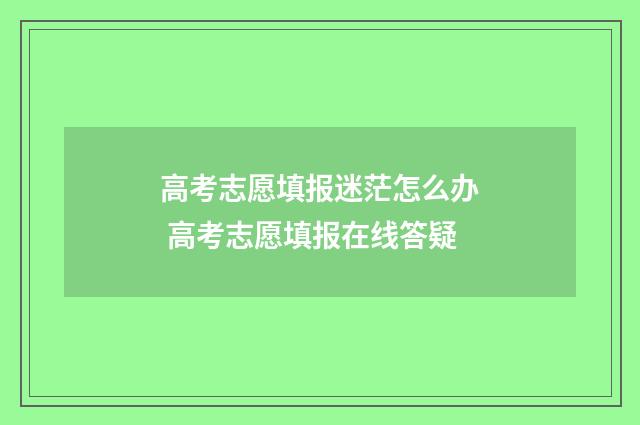 高考志愿填报迷茫怎么办 高考志愿填报在线答疑