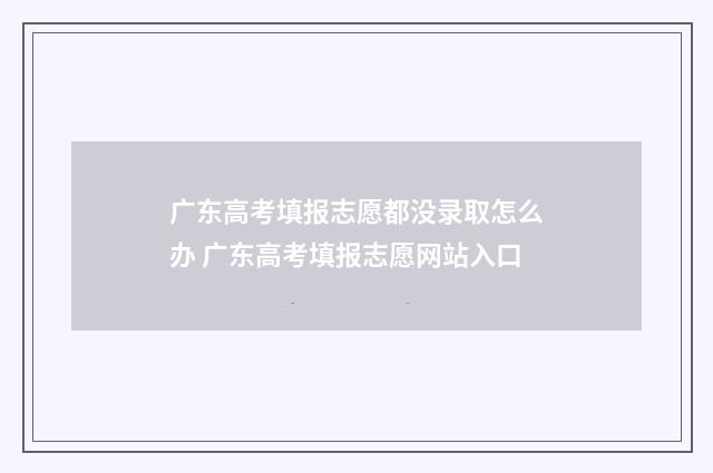 广东高考填报志愿都没录取怎么办 广东高考填报志愿网站入口