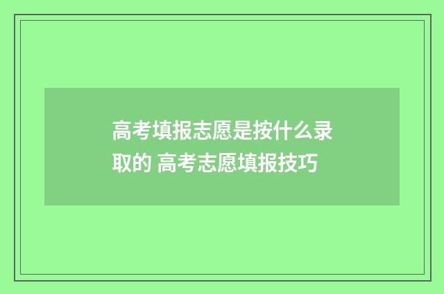 高考填报志愿是按什么录取的 高考志愿填报技巧