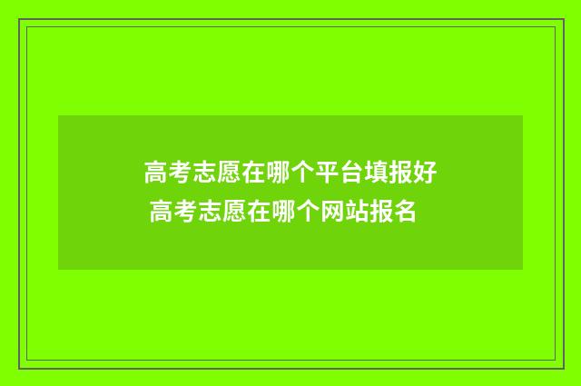 高考志愿在哪个平台填报好 高考志愿在哪个网站报名