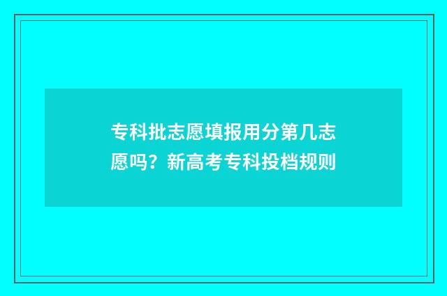 专科批志愿填报用分第几志愿吗？新高考专科投档规则