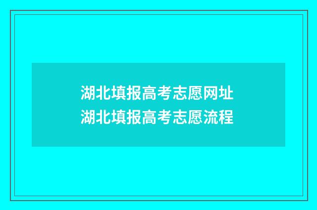 湖北填报高考志愿网址 湖北填报高考志愿流程