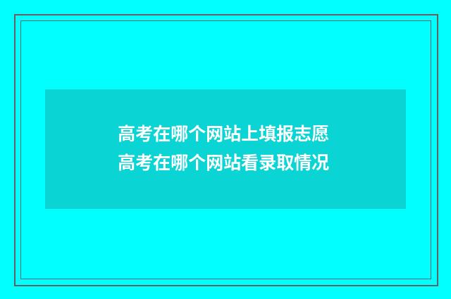 高考在哪个网站上填报志愿 高考在哪个网站看录取情况