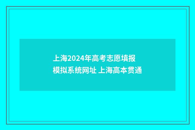 上海2024年高考志愿填报模拟系统网址 上海高本贯通