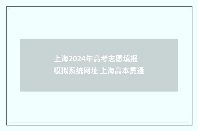 上海2024年高考志愿填报模拟系统网址 上海高本贯通