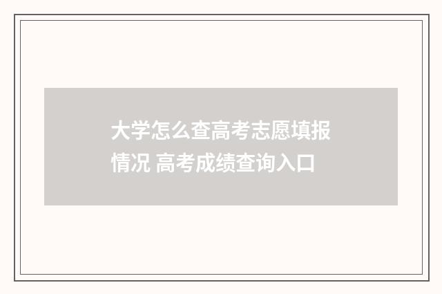 大学怎么查高考志愿填报情况 高考成绩查询入口