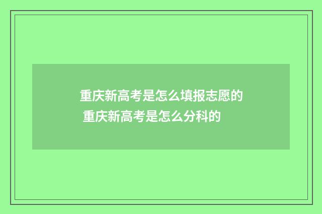 重庆新高考是怎么填报志愿的 重庆新高考是怎么分科的