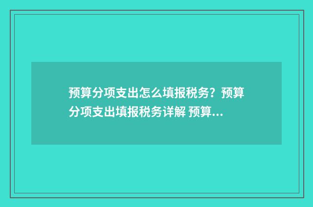 预算分项支出怎么填报税务？预算分项支出填报税务详解 预算会计项目支出