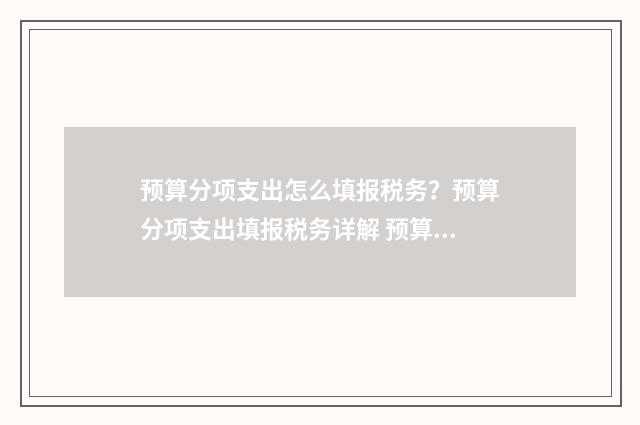 预算分项支出怎么填报税务？预算分项支出填报税务详解 预算会计项目支出