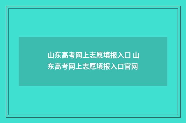山东高考网上志愿填报入口 山东高考网上志愿填报入口官网