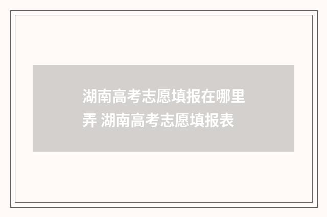 湖南高考志愿填报在哪里弄 湖南高考志愿填报表