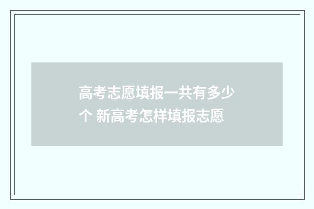 高考志愿填报一共有多少个 新高考怎样填报志愿
