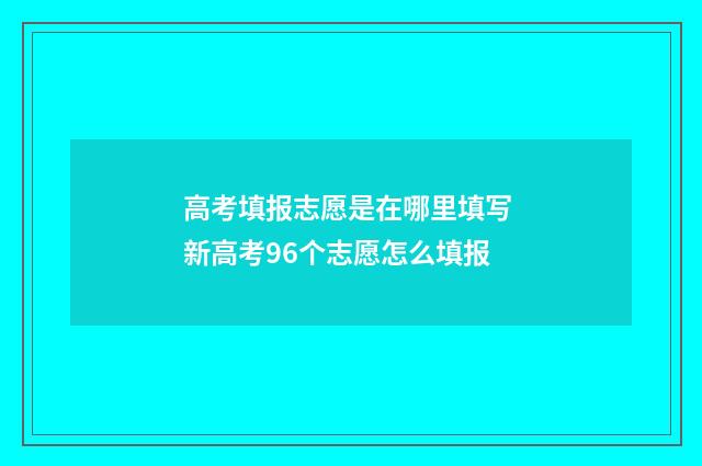 高考填报志愿是在哪里填写 新高考96个志愿怎么填报