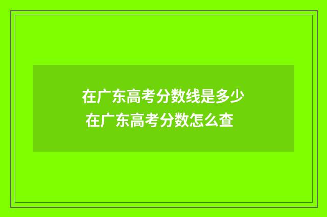 在广东高考分数线是多少 在广东高考分数怎么查