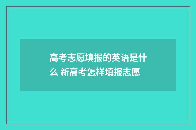 高考志愿填报的英语是什么 新高考怎样填报志愿