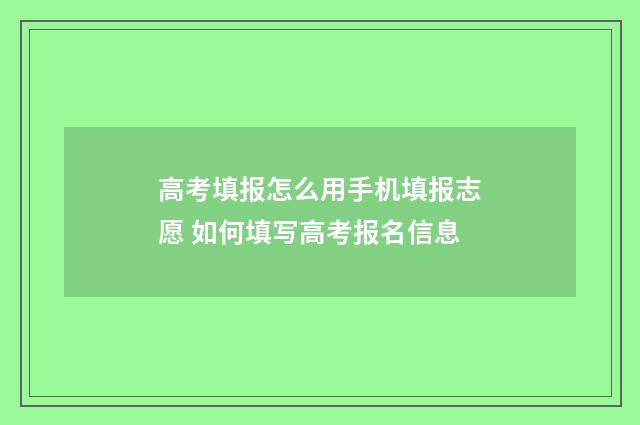 高考填报怎么用手机填报志愿 如何填写高考报名信息