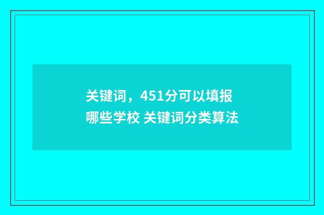 关键词，451分可以填报哪些学校 关键词分类算法