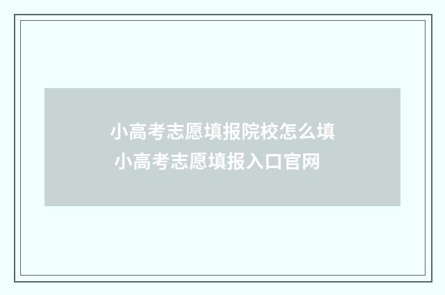 小高考志愿填报院校怎么填 小高考志愿填报入口官网