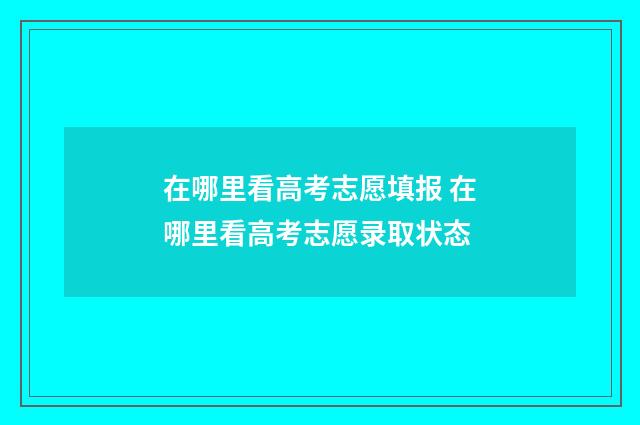 在哪里看高考志愿填报 在哪里看高考志愿录取状态