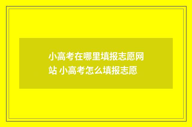 小高考在哪里填报志愿网站 小高考怎么填报志愿