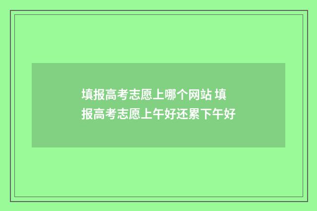 填报高考志愿上哪个网站 填报高考志愿上午好还累下午好